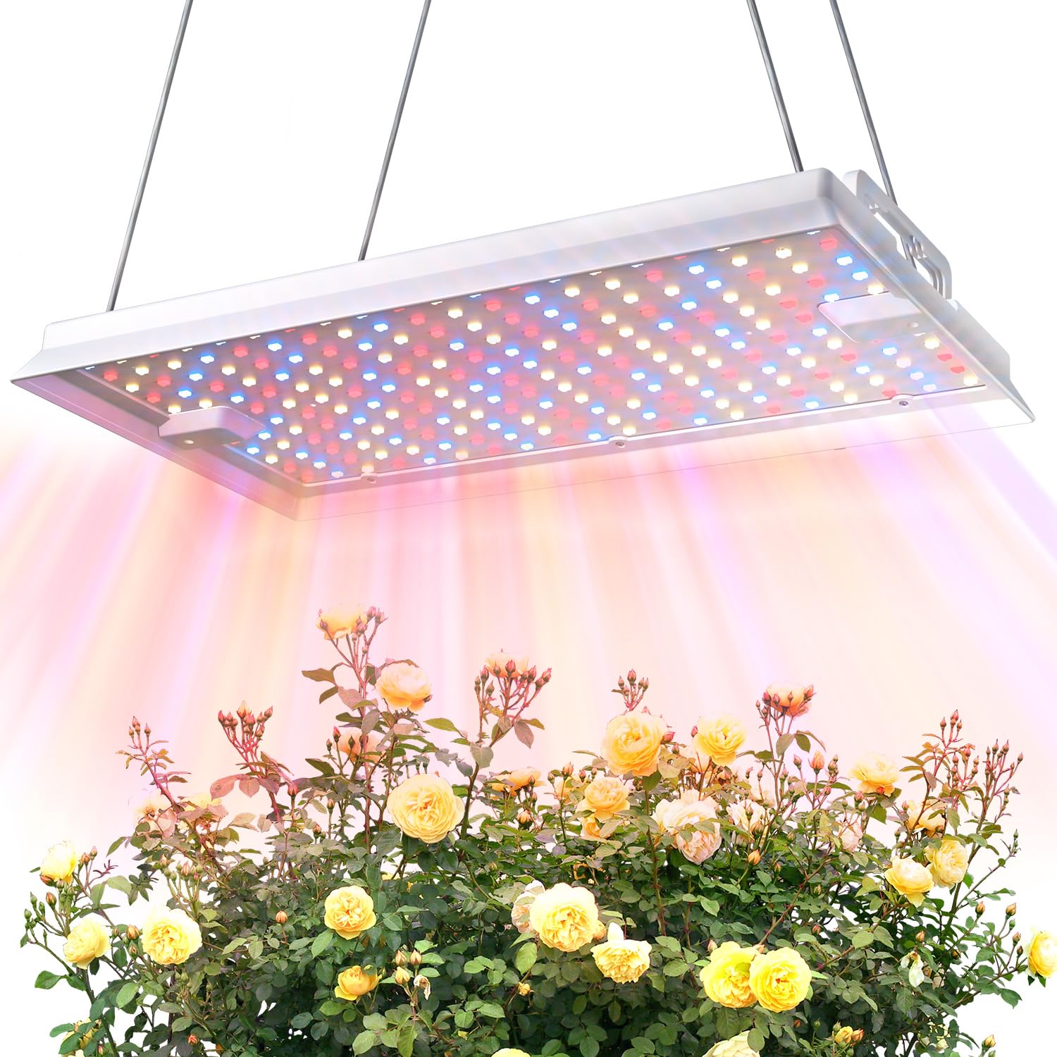 Amazon.com : MetryGrow Plant Grow Light, [Smart APP & Expansive